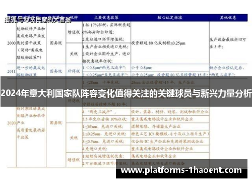 2024年意大利国家队阵容变化值得关注的关键球员与新兴力量分析