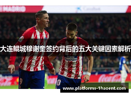 大连鲲城穆谢奎签约背后的五大关键因素解析