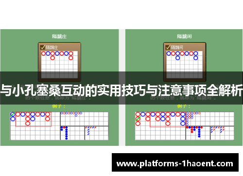 与小孔塞桑互动的实用技巧与注意事项全解析