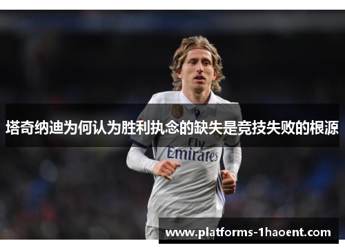 塔奇纳迪为何认为胜利执念的缺失是竞技失败的根源