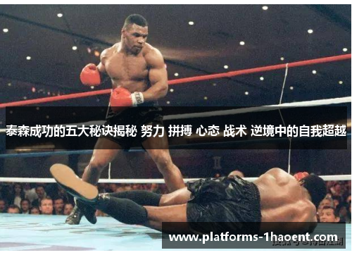 泰森成功的五大秘诀揭秘 努力 拼搏 心态 战术 逆境中的自我超越