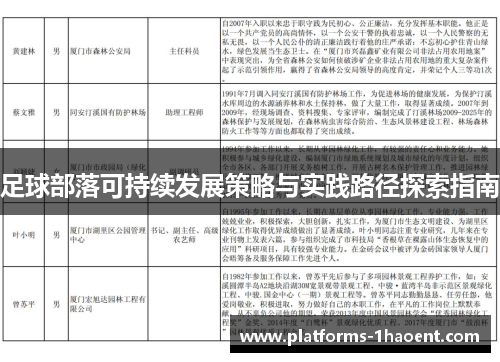 足球部落可持续发展策略与实践路径探索指南