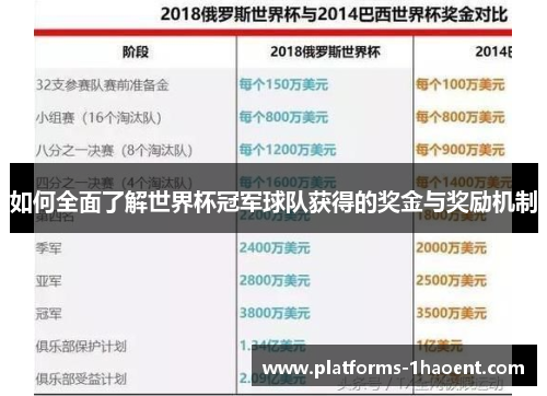 如何全面了解世界杯冠军球队获得的奖金与奖励机制