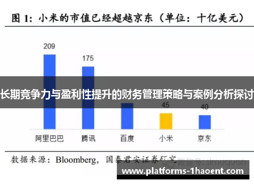 长期竞争力与盈利性提升的财务管理策略与案例分析探讨