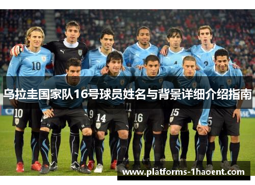 乌拉圭国家队16号球员姓名与背景详细介绍指南