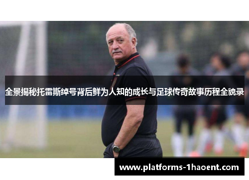 全景揭秘托雷斯绰号背后鲜为人知的成长与足球传奇故事历程全貌录