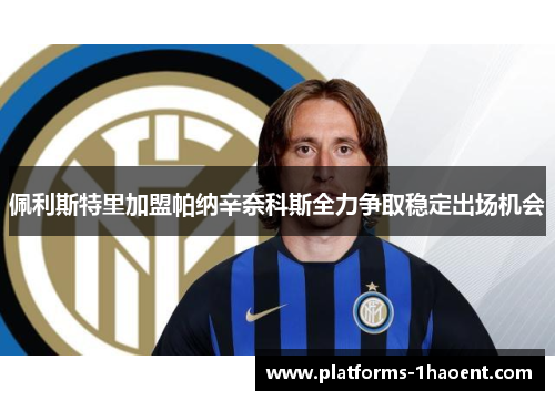 佩利斯特里加盟帕纳辛奈科斯全力争取稳定出场机会 佩利斯特里加盟帕纳辛奈科斯全力争取稳定出场机会