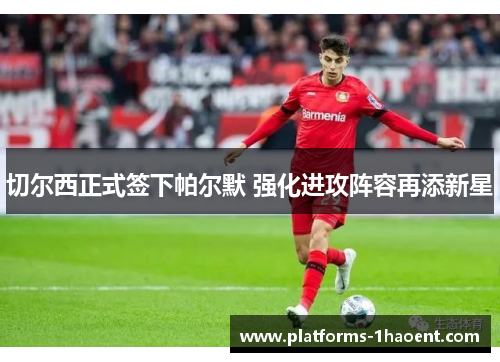 切尔西正式签下帕尔默 强化进攻阵容再添新星